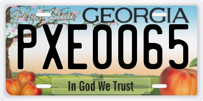 GA license plate PXE0065