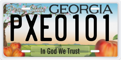 GA license plate PXE0101