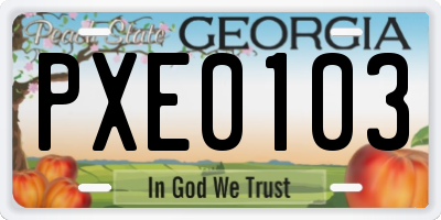 GA license plate PXE0103