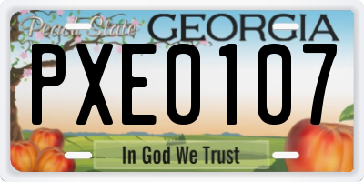 GA license plate PXE0107