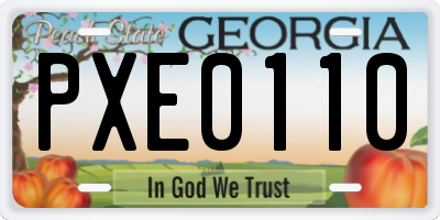 GA license plate PXE0110
