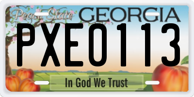 GA license plate PXE0113
