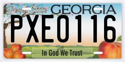 GA license plate PXE0116