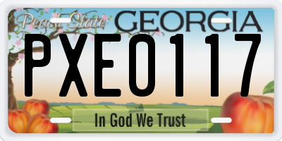 GA license plate PXE0117
