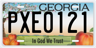 GA license plate PXE0121