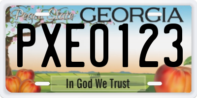 GA license plate PXE0123