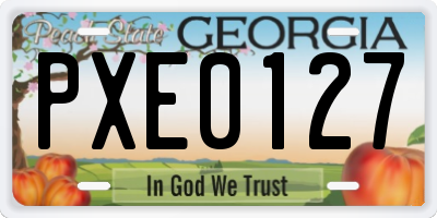 GA license plate PXE0127