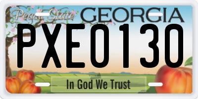 GA license plate PXE0130