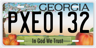 GA license plate PXE0132