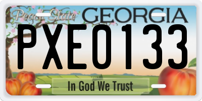 GA license plate PXE0133