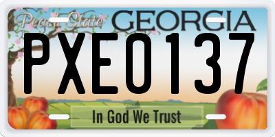 GA license plate PXE0137
