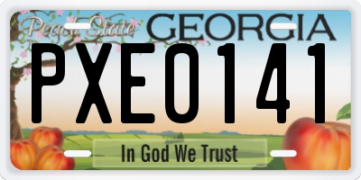 GA license plate PXE0141