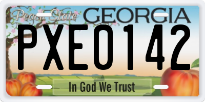 GA license plate PXE0142