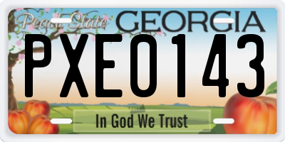 GA license plate PXE0143