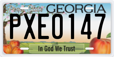 GA license plate PXE0147