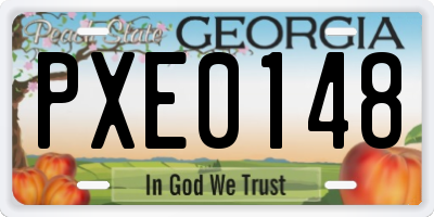 GA license plate PXE0148