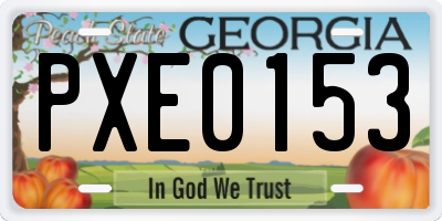 GA license plate PXE0153