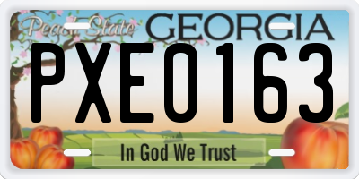 GA license plate PXE0163