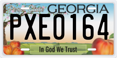 GA license plate PXE0164