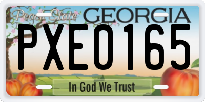 GA license plate PXE0165