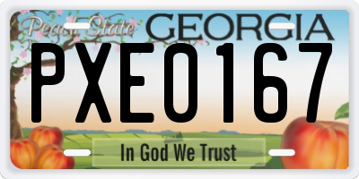 GA license plate PXE0167