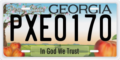 GA license plate PXE0170