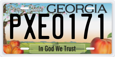 GA license plate PXE0171