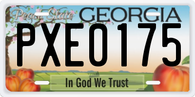 GA license plate PXE0175