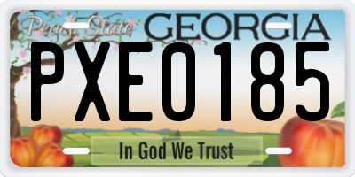 GA license plate PXE0185