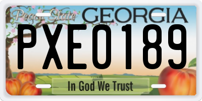 GA license plate PXE0189