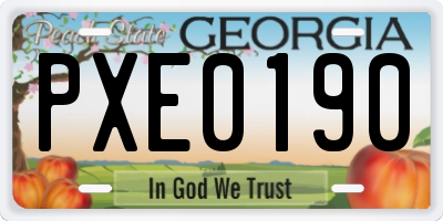 GA license plate PXE0190