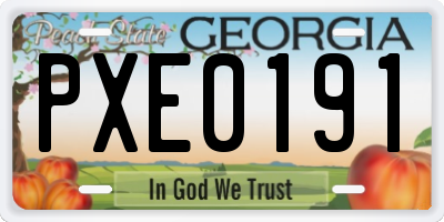 GA license plate PXE0191
