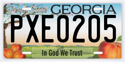 GA license plate PXE0205