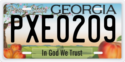 GA license plate PXE0209