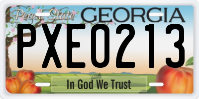GA license plate PXE0213
