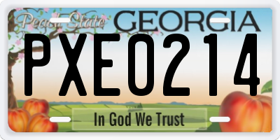 GA license plate PXE0214