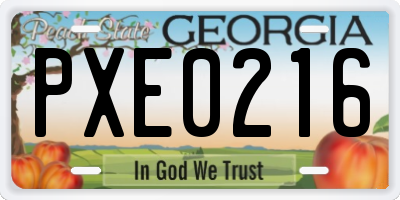 GA license plate PXE0216