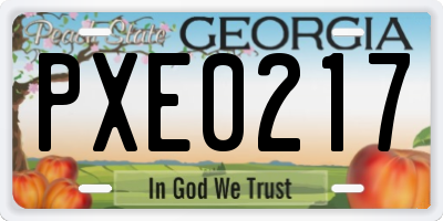 GA license plate PXE0217