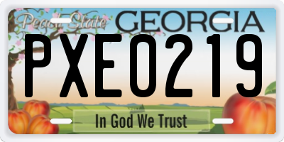 GA license plate PXE0219