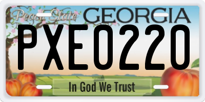 GA license plate PXE0220