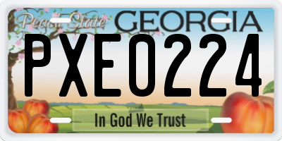 GA license plate PXE0224