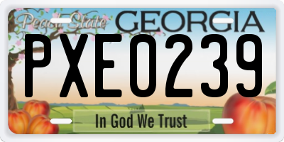 GA license plate PXE0239