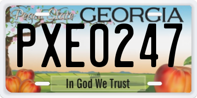 GA license plate PXE0247