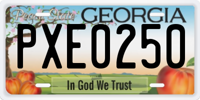 GA license plate PXE0250