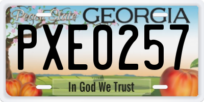 GA license plate PXE0257