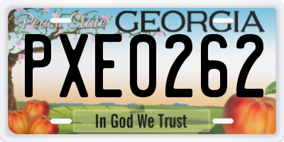 GA license plate PXE0262