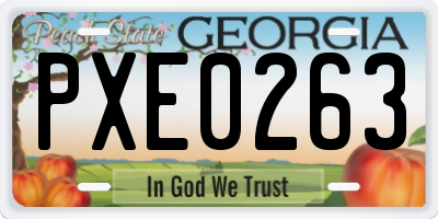 GA license plate PXE0263