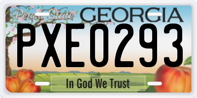 GA license plate PXE0293