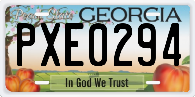 GA license plate PXE0294