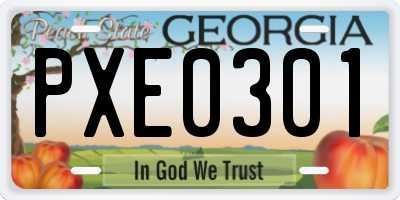 GA license plate PXE0301